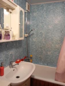 Koupelna v ubytování Soukromý pokoj 12m2