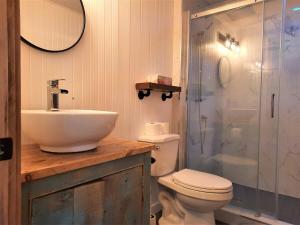 Sainte-Lucie-de-DoncasterL'Harmonie #203 - Cozy loft with boats的带水槽、马桶和淋浴的浴室 更多20张照片