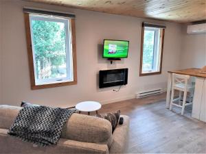 Sainte-Lucie-de-DoncasterL'Harmonie #203 - Cozy loft with boats的配有沙发和平板电视的客厅