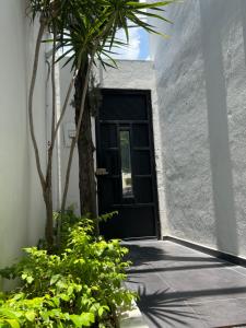 une porte dans un bâtiment blanc avec un palmier dans l'établissement Departamento Olas, à Tuxtla Gutiérrez