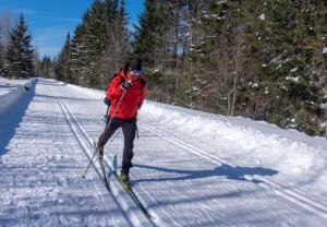 a person is cross country skiing in the snow at La Passion #204 - Loft with private balcony and view in Sainte-Lucie-de-Doncaster