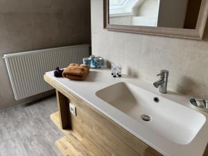a bathroom with a white sink and a mirror at De Kruishoeve in De Haan +35 photos