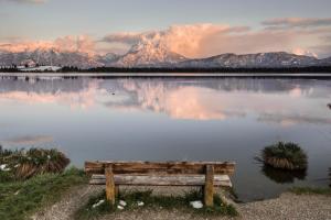 Příroda nedaleko apartmánu