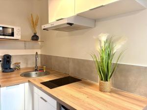 Kuchyň nebo kuchyňský kout v ubytování Dalikyda - La Bulle - Loveroom