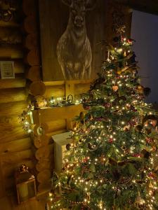 een kerstboom met verlichting in een kamer bij Luxury Fishing Lodge - FatRascals Retreat in Hainford