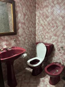 bagno con lavandino rosso e servizi igienici di Departamento Centro a General Pico