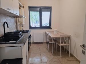 Kuchyň nebo kuchyňský kout v ubytování Apartament Sos Alexandriei Bragadiru
