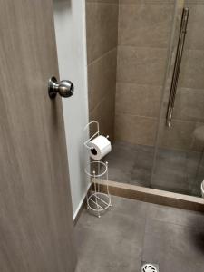 卡塔赫纳Casa - EL LAGUITO的带淋浴的浴室和卫生纸饮水机