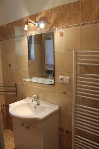 uma casa de banho com um lavatório e um espelho em Apartmány Olympia em Železná Ruda