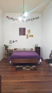 瓦尔帕莱索Habitación en casa palmera Valparaiso的一间卧室,在房间内配有一张紫色的床