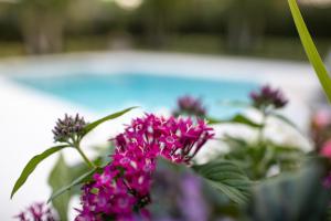 Бассейн в Naples Beach Retreat Bike to Beach! 4 Bed 2 Bath или поблизости