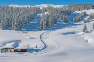 Το Exceptionnel Studio Le petit dortoir wifi parking gratuit vue incroyable sur le pic au pied des pistes de superdevoluy τον χειμώνα +13 φωτογραφίες