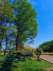 Foto dalla galleria di Lake Garden Aframe a Vardablur