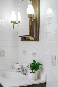 a bathroom with a sink and a mirror and a plant at Classic American-style, 18 min to NYC in Carlstadt