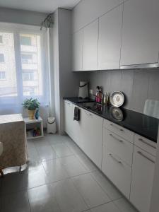 弗里堡Salon lumineux avec TV et Canapé的配有白色橱柜和台面的厨房