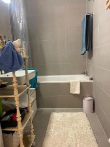 弗里堡Salon lumineux avec TV et Canapé的带浴缸和地毯的浴室