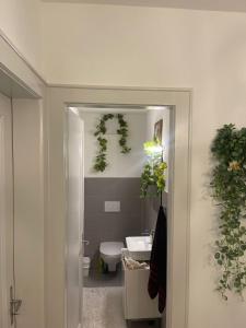 弗里堡Salon lumineux avec TV et Canapé的浴室设有卫生间和植物水槽。