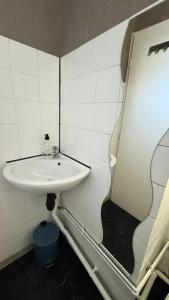 une salle de bain blanche avec un lavabo et un miroir dans l'établissement Cosy 5 - Montbéliard, à Montbéliard