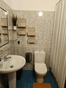 un bagno con un water bianco e un lavandino di Casa Arico Viejo ad Arico Viejo