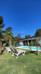 un gruppo di sedie a sdraio bianche accanto alla piscina di Calma a Punta Colorada