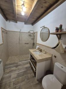 a bathroom with a toilet and a sink and a shower at Casa Rural Rincón in El Cabaco +45 photos