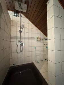 美因河畔法兰克福Shumiland in Frankfurt near Messe, Airport的带淋浴和浴缸的浴室