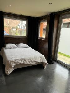 GriesAppartement avec terrasse et jardin partagé的带一张床和两扇窗户的卧室