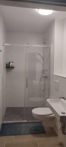 ein Badezimmer mit Dusche, Toilette und Waschbecken in der Unterkunft Hotel Breitenbenden in Mechernich