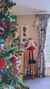 Foto sihtkohas Ironbridge asuva majutusasutuse Ironbridge View Townhouse WINNER 2025 UK MOST PICTURESQUE SELF-CATERING HOLIDAY HOME & WINNER SELF-CATERING ACCOMMODATION OF THE YEAR 2025 galeriist