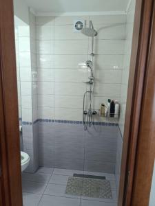 a bathroom with a shower and a toilet at Front Beach House in Skala Kallirachis +42 photos