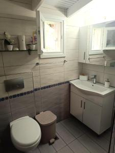 斯卡拉卡里拉奇斯Front Beach House的带马桶和水槽的浴室