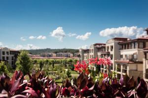 A garden outside Green Life Apartments Sozopol