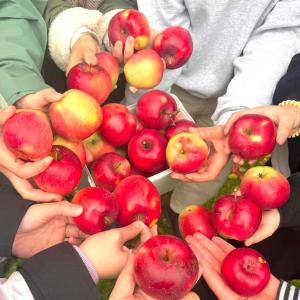 Eine Gruppe von Menschen hält einen Stapel Äpfel hoch. in der Unterkunft Hotel Breitenbenden in Mechernich
