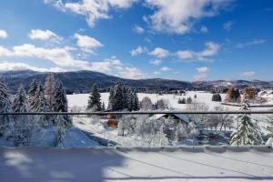 a view of a snow covered field with trees at Villa Stella Verde - Wellness Villa with a swimming pool, hot tub and sauna in Ravna Gora