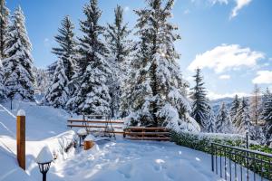 a snow covered yard with snow covered trees at Villa Stella Verde - Wellness Villa with a swimming pool, hot tub and sauna in Ravna Gora