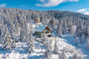 an aerial view of a cabin in the snow at Villa Stella Verde - Wellness Villa with a swimming pool, hot tub and sauna in Ravna Gora