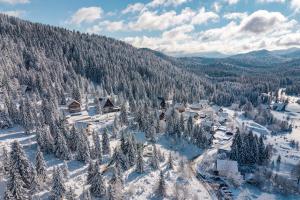 an aerial view of a ski resort in the snow at Villa Stella Verde - Wellness Villa with a swimming pool, hot tub and sauna in Ravna Gora