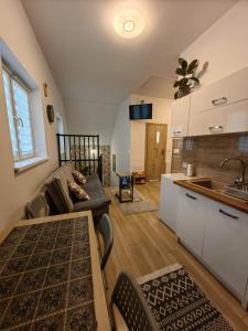 a living room with a couch and a kitchen at Apartamenty Starosądeckie in Stary Sącz