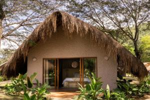 Κήπος έξω από το Holistic EcoHotel