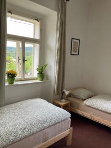 Un dormitorio con dos camas y una ventana en Apartmán Ekonomy, 