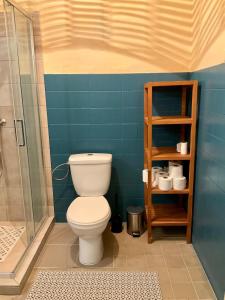 a bathroom with a toilet and a shower at Apartmán Ekonomy in Spělkov +15 photos