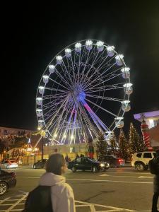 ein großes Riesenrad auf einem Parkplatz nachts in der Unterkunft Vibe Studio Centrul Vechi Craiova in Craiova