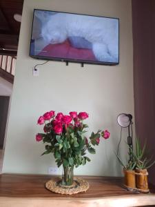 Et tv og/eller underholdning på Castelnuovo villa del mar