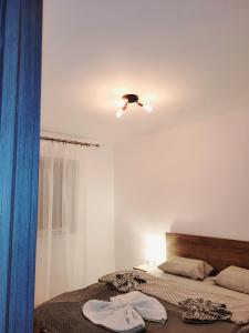 ein Schlafzimmer mit zwei Betten und einem Deckenventilator in der Unterkunft Double rooms apartament in Sînpetru + 5 Fotos