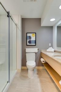 ein Badezimmer mit Toilette und Waschbecken in der Unterkunft Hotel Bemidji in Bemidji