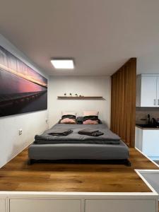 BermatingenにあるSpatzennest am Bodenseeの部屋の中に大きなベッドがある寝室