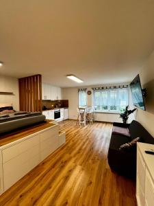 BermatingenにあるSpatzennest am Bodenseeのソファとキッチンのあるリビングルーム