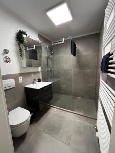 Un baño con ducha, inodoro y lavabo. en Spatzennest am Bodensee, en Bermatingen