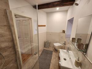 a bathroom with a shower and a sink and a toilet at Fachwerkzeit Haus mit zwei Apartments in Quedlinburg +31 photos