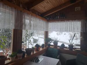 Ảnh trong thư viện ảnh của Gostišče Jelka, Hočko Pohorje ở Hočko Pohorje